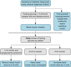 basal insulin in gestational diabetes