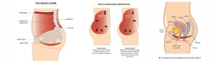 pelvic floor rehabilitation treatment