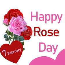 happy rose day ilration