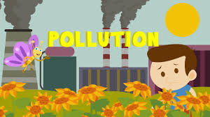 learn about pollution environment
