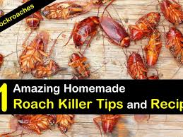 11 amazing homemade roach tips