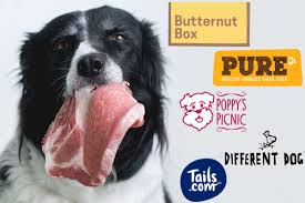 Reveals the best dog food brands, and the worst dog food brands to avoid. Best Dog Food Delivery Uk 2021 Hellobark