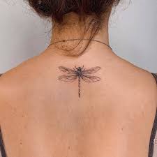 The dragonflies tattoos design also speaks to the vision and being able to see beyond the limits of the human body and self and to see into the universe. 101 Dragonfly Tattoo Designs Best Rated Designs In 2021