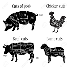 Vector Illustration Lamb Chicken Cow And Pork Cuts Diagramm