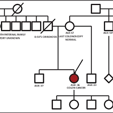 A 3 Generation Pedigree Chart The Red Circle Depicts The