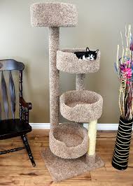 If you do not provide an appropriate alternative, they will easily. The Best Sturdy Cat Trees For Large Cats Cool Cat Tree Plans