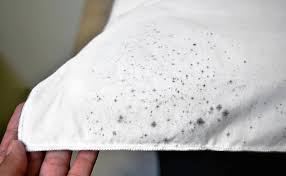 How To Get Mould Stains Out Of Fabric