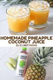 pineapple coconut juice recipe the