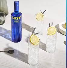 citrus vodka soda drink recipe skyy vodka