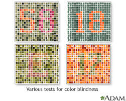 color vision test information mount