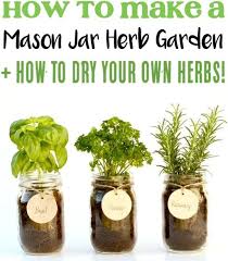 diy mason jar herb garden indoor