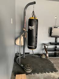 fs everlast punching bag with century
