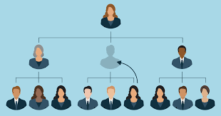 how organizational chart and succession