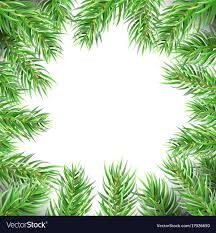 Christmas Tree Frame Fir Branches Greeting Card Vector Image