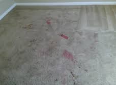 all american carpet care restoration