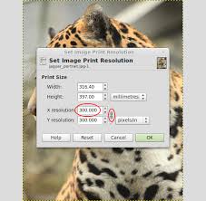 Resize image in cm, mm, inch or pixel. Photo Print Size Image Resolution Gimp Open Source Options