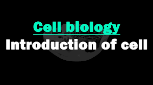 cell biology introduction to cell