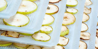 A Beginners Guide To Dehydrating Food Tips Tricks