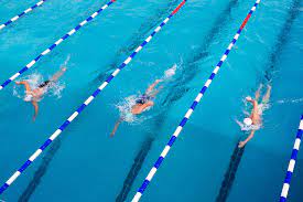 freestyle swimming 10 tips to improve
