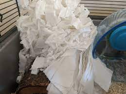 Toilet Paper For Hamster Bedding