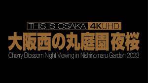 大阪西の丸庭園夜桜 Cherry Blossom Night Viewing in Osaka Castle Nishinomaru Garden  2023 - YouTube