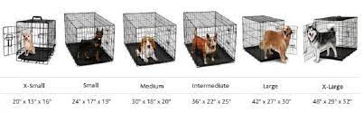 dog crate sizes guide 2021 what size