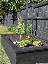How To Make A Raised Vegetable Garden