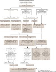 Clinical Guidelines For Nocturia 2010 International