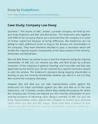 Case Critique: Black Fly Beverage Company Inc
