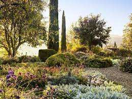 Under The Tuscan Sun Garden Designer