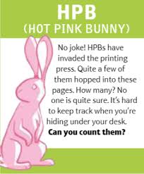 the true story of the hot pink bunnies