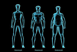 The relationship among these numbers will reveal the shape of your frame. What S Your Body Type Ectomorph Endomorph Or Mesomorph