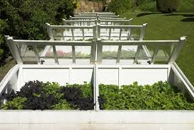 best cold frame site harvest to table