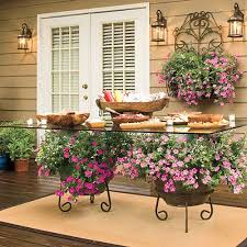115 Of Our Best Container Gardening Ideas