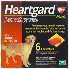 Heartgard Plus For Dogs Merial Safe Pharmacy Heartworm