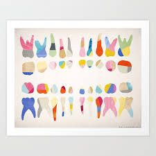 Pediatric Dental Chart In Rainbow Art Print By Tjwity