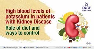 potium in patients with kidney disease