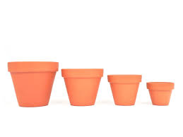 vine style terracotta plant pots