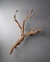 Tree & Branch Shop | Artefact Design & Salvage