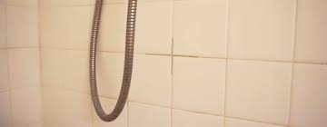 how to remove black mould from grout in