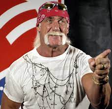 Hulk Hogan Wikipedia