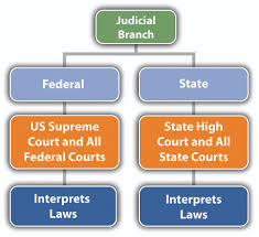 The Branches Of Government