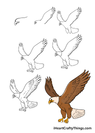 eagle drawing how to draw an eagle
