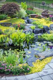 7 tips for planting your pond