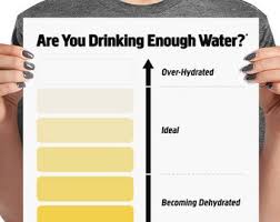 Urine Color Chart Pee Color Chart Water Intake Chart Pee Etsy