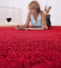 carpet liquidator home