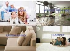 an professional carpet cleaning of