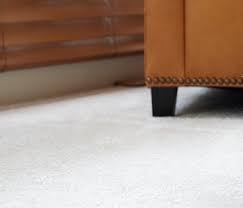 carpet cleaning nashville 1 rated