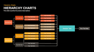 Hierarchy Chart Template For Powerpoint And Keynote
