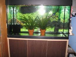 Check spelling or type a new query. Fluval Roma 125 Cabinet Entrancenetwork Com